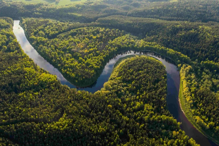 10 Surprising Facts about Amazon Rainforest
