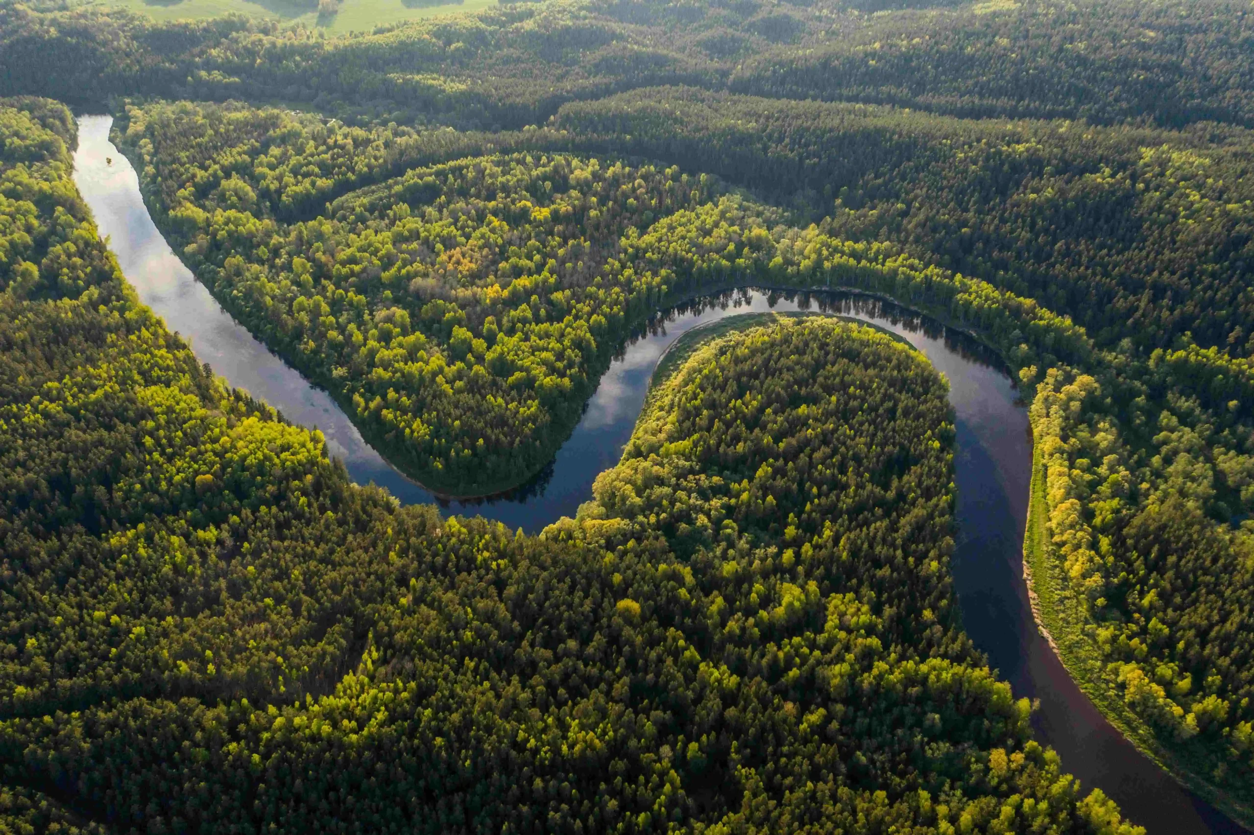 10 Surprising Facts about Amazon Rainforest